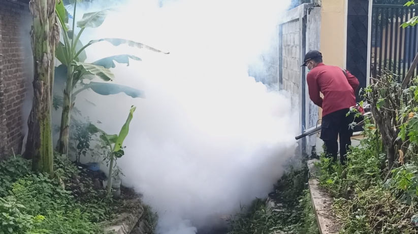 Waspada DBD, DINKES : Intensifkan Pemberantasan Sarang Nyamuk Dan Fogging