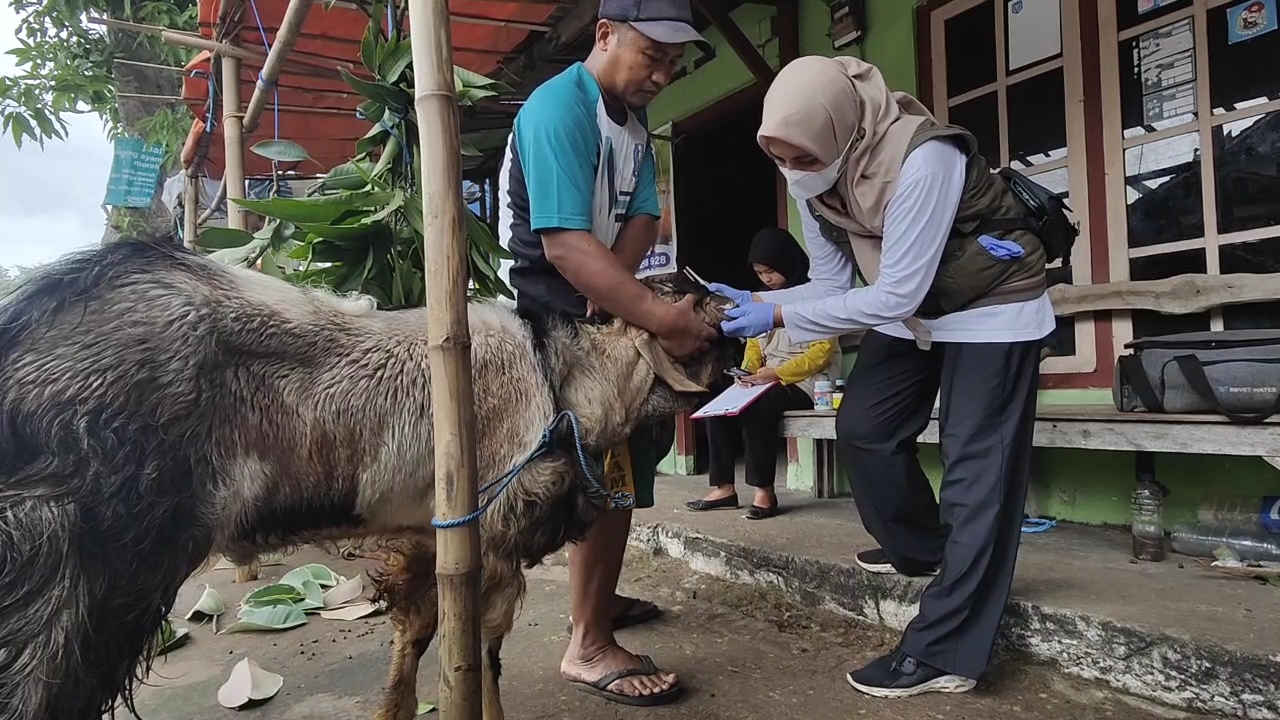 DKPP Sisir Lapak Hewan Kurban, Pastikan Ternak Sehat Dan Layak Sembelih