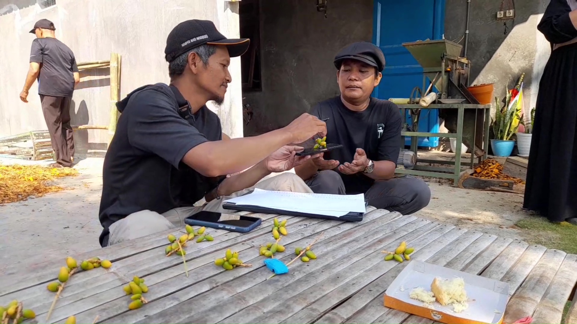 Seorang Warga Gratiskan Kurma Muda untuk Bantu Pasangan Program Hamil