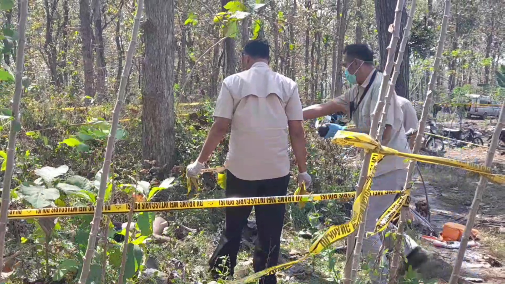 Mayat Perempuan Ditemukan di Ladang Singkong Kawasan Hutan Jati Ponorogo