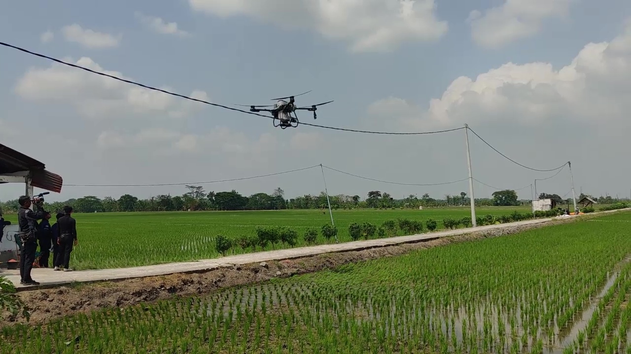 Pemupukan Pakai Drone Tingkatkan Efisiensi dan Produktivitas Pertanian di Madiun