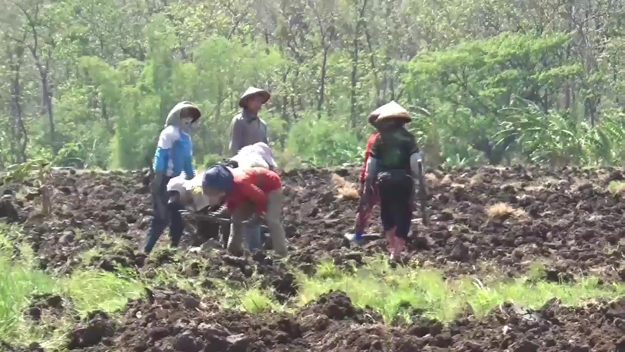 Dewan Soroti Gagal Panen di Ngawi, Dorong Perbaikan Ekosistem dan Pendampingan Dinas