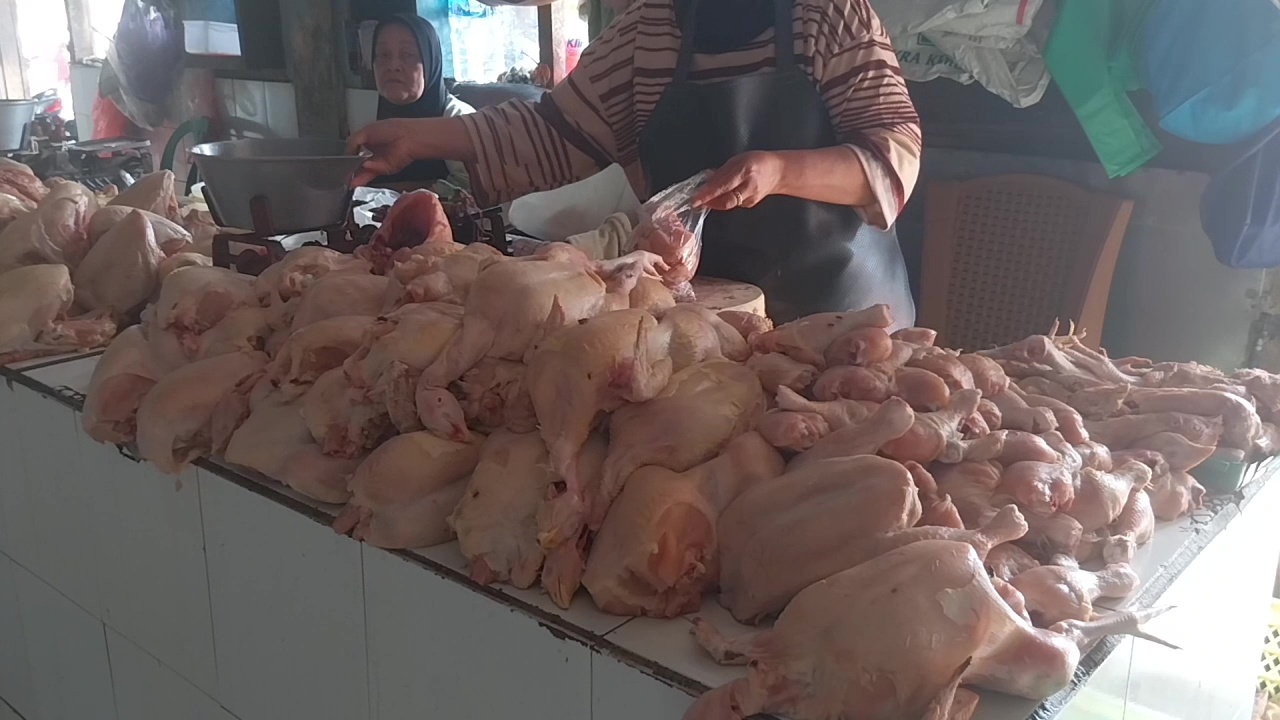 Harga Daging Ayam Naik, Program MBG Juga Pengaruhi Pasaran