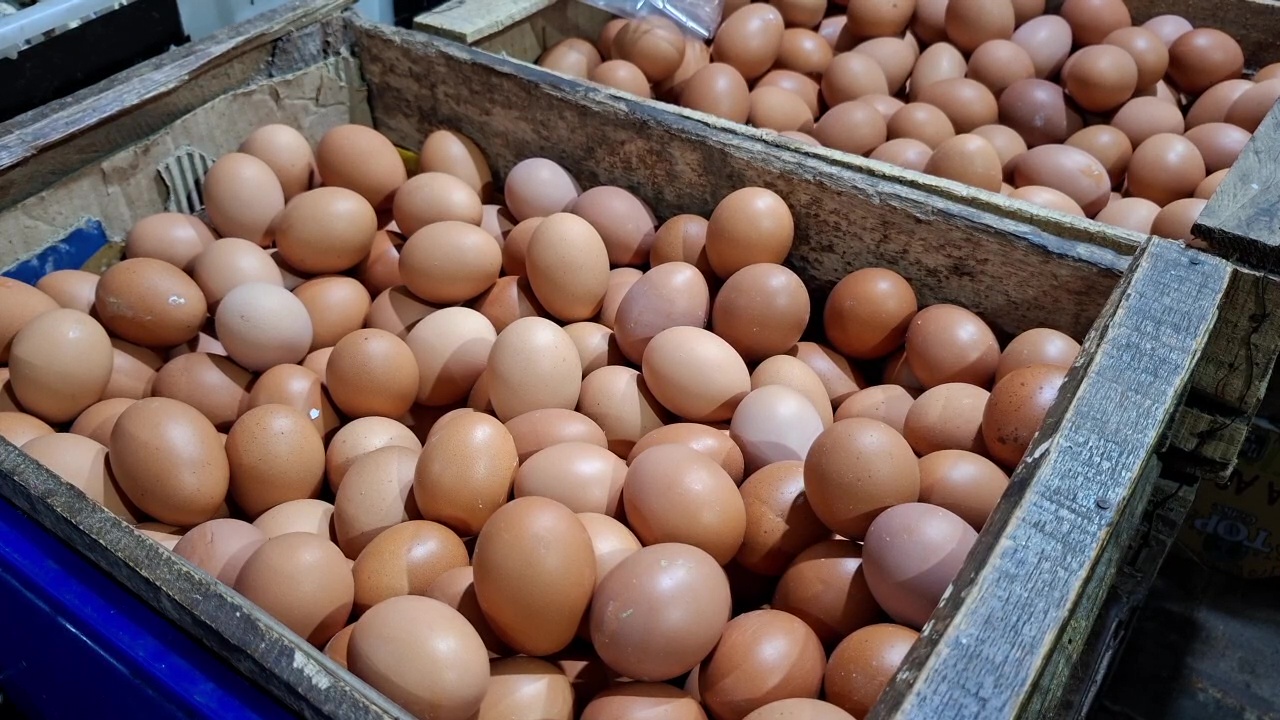 Harga Telur Melonjak, Warga Pilih Kurangi Belanja Dapur