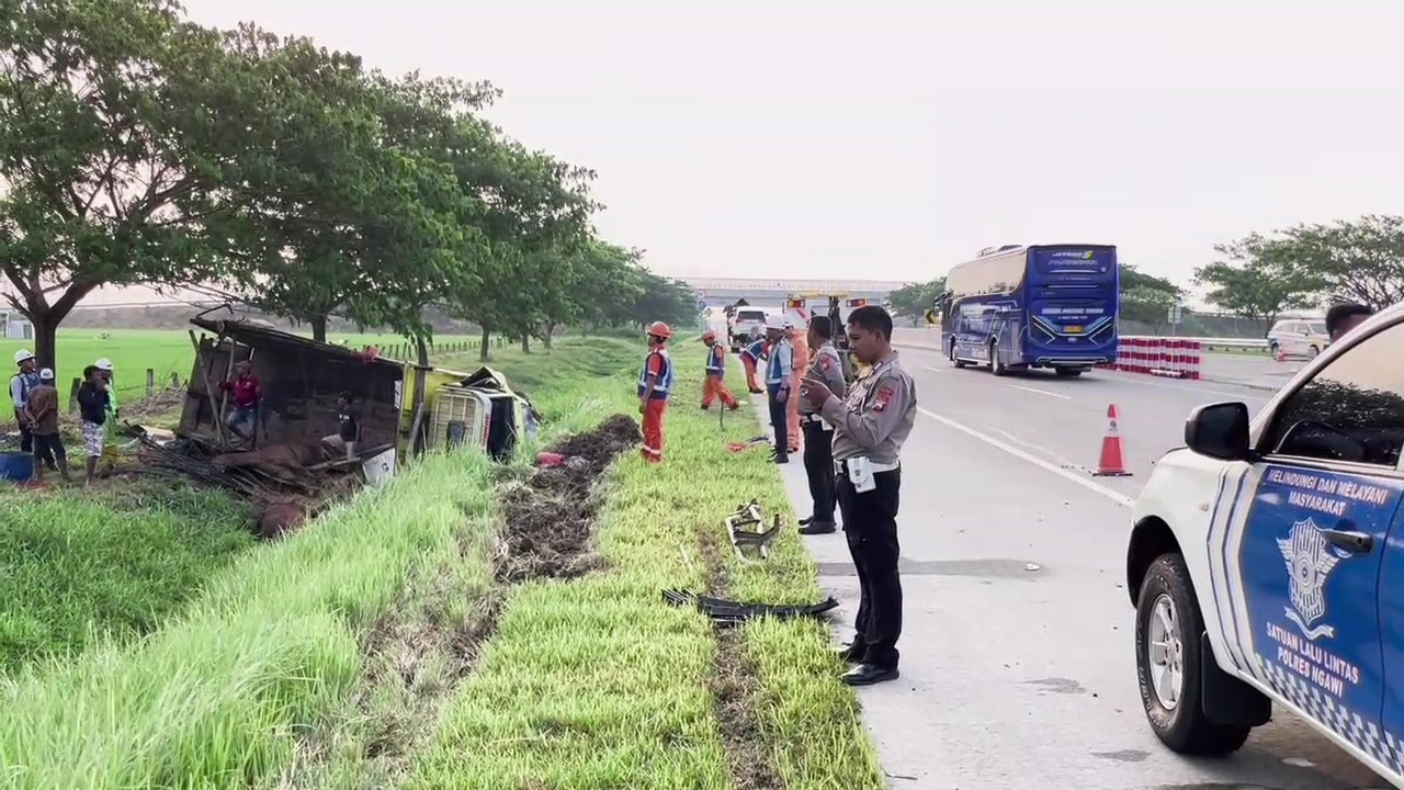 Truk Pengangkut Kuda Ditabrak Minibus di Tol Ngawi, 4 Luka dan 2 Kuda Mati
