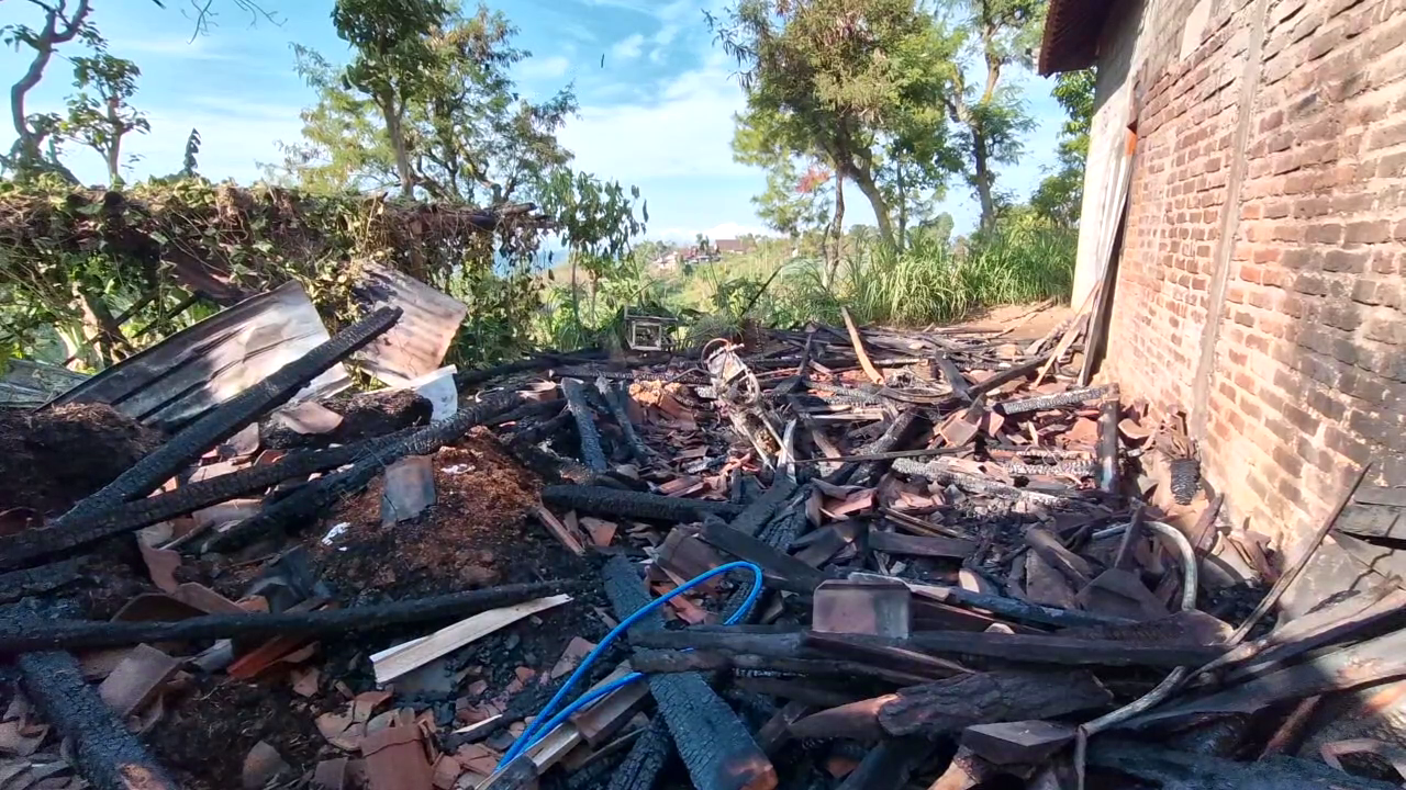 Diduga Korslet Listrik, Kandang Sapi Warga di Ponorogo Ludes Terbakar
