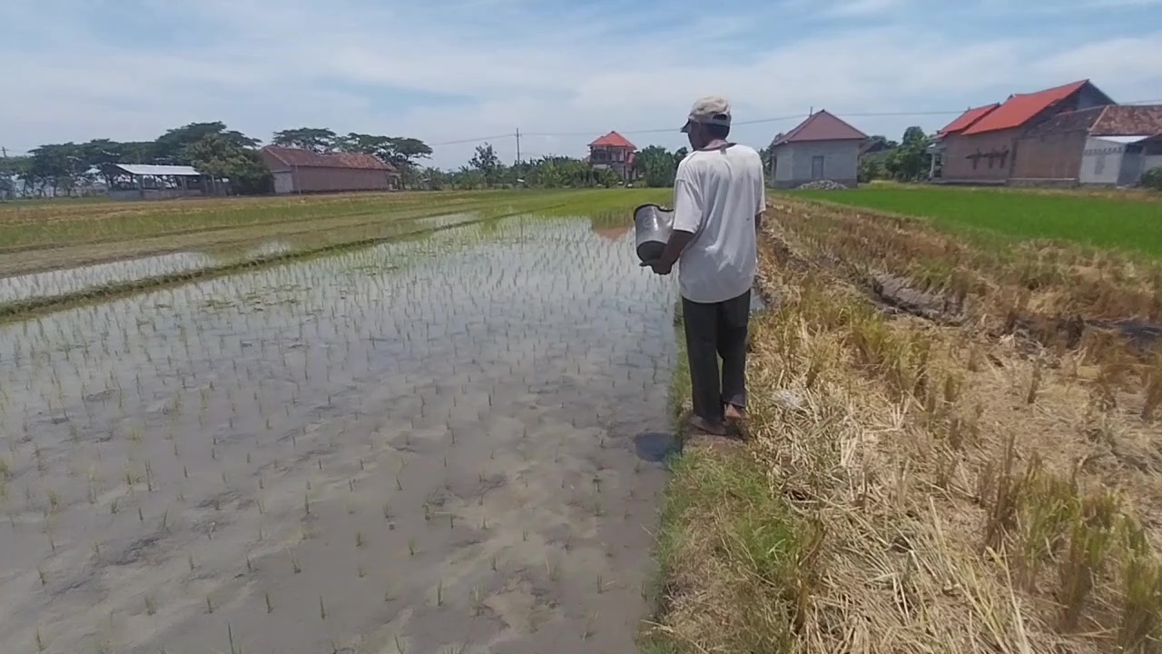 Petani Desa Pojok Bersyukur Stok Pupuk Melimpah