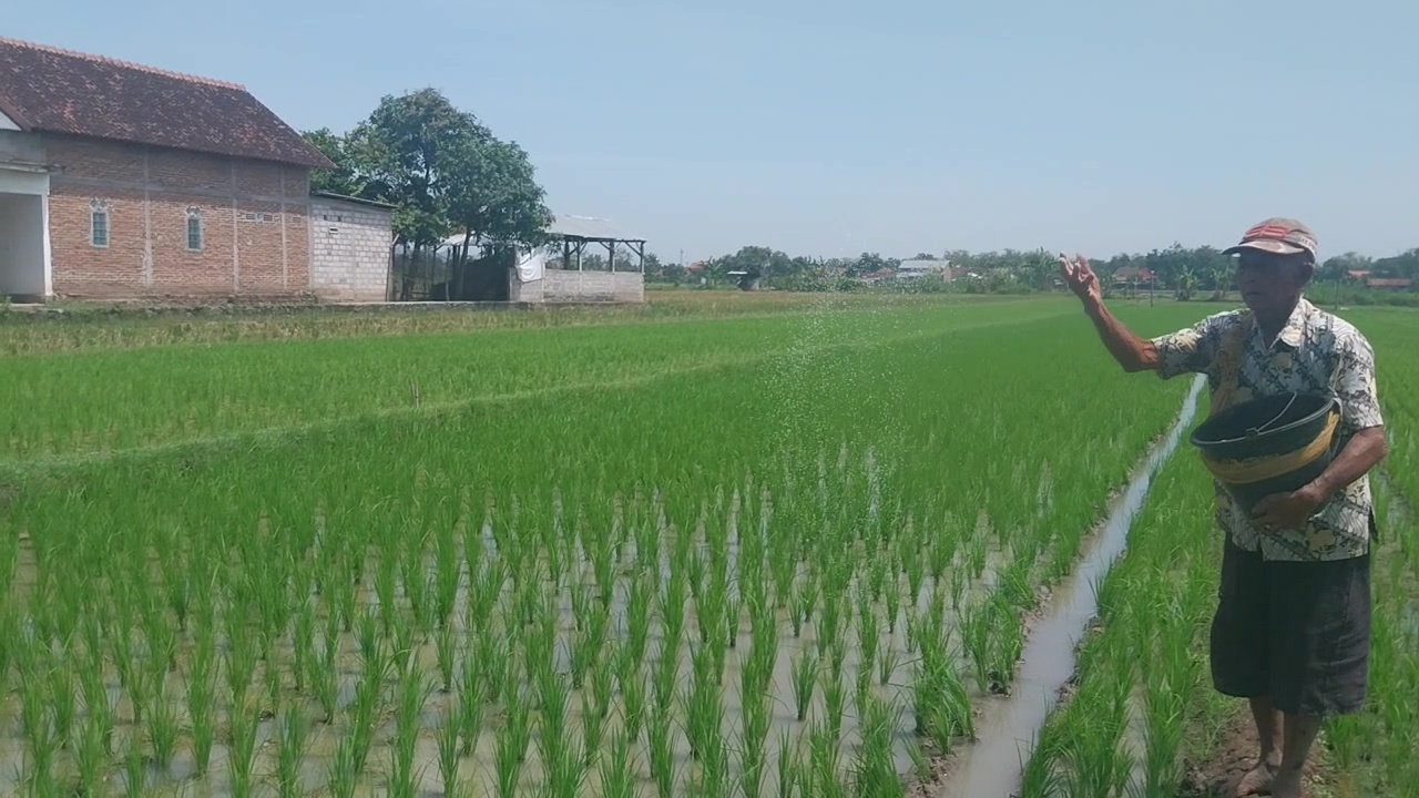 Serapan Pupuk Subsidi di Magetan Capai 60 Persen, Distribusi Berjalan Lancar