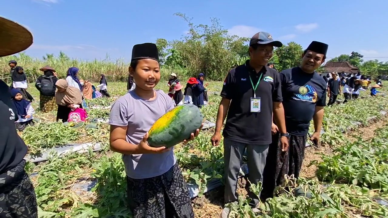Wisata Petik Semangka, Cara Asyik Belajar Pertanian Sejak Usia Dini