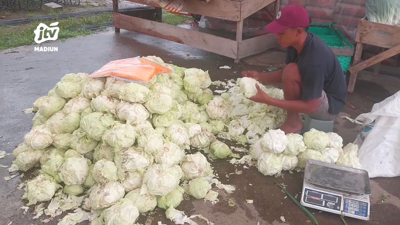 Stok Seret, Sejumlah Sayuran Naik Hingga Dua Kali Lipat