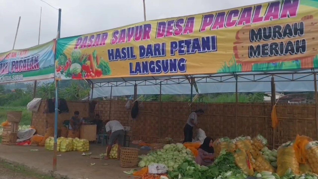 Multi Efek Program MBG: Petani Plaosan Untung, Kopdes Pacalan Semakin Aktif