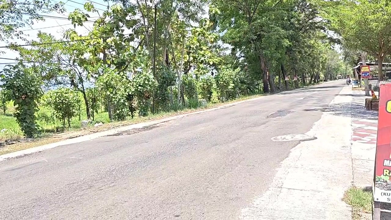 Pinjaman Rp100 Miliar Mandek, Perbaikan 137 Ruas Jalan di Ponorogo Terancam Gagal