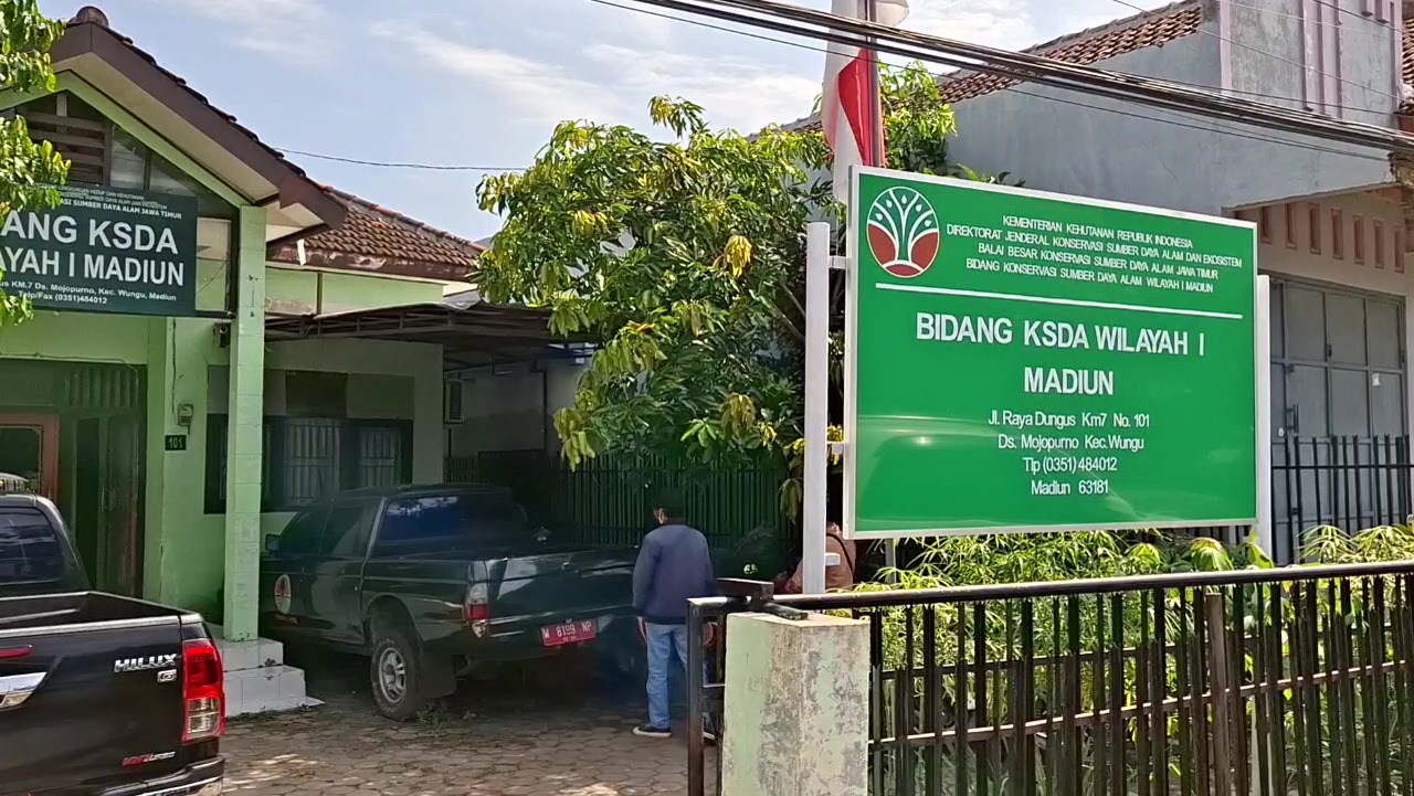 Perkara Landak Jawa Masuk Persidangan, BKSDA Wilayah I Madiun Buka Suara