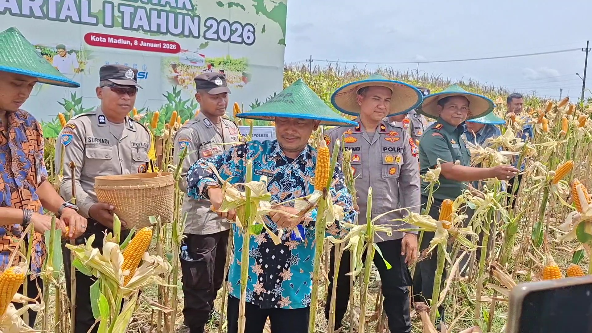 Panen Raya Jagung Kuartal IV Digelar Serentak, Kota Madiun Hasilkan Hingga 2,5 Ton