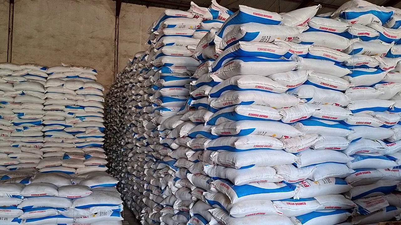 Penyaluran Pupuk Bersubsidi 2025 Di Atas 90 Persen, Alokasi 2026 Kabupaten Madiun Turun