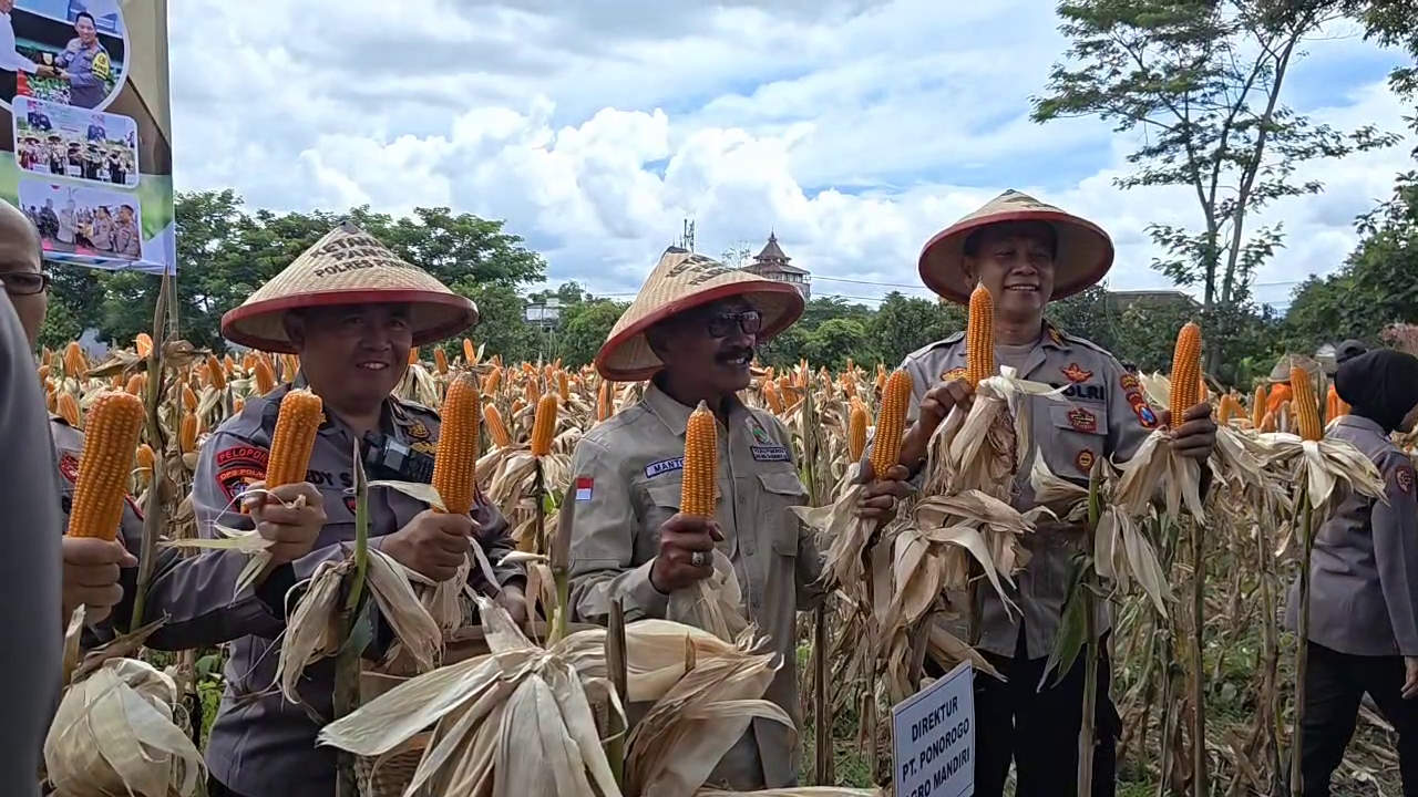 Polres Ponorogo Panen Jagung Bhayangkara Puluhan Ton, Dukung Swasembada Pangan Nasional