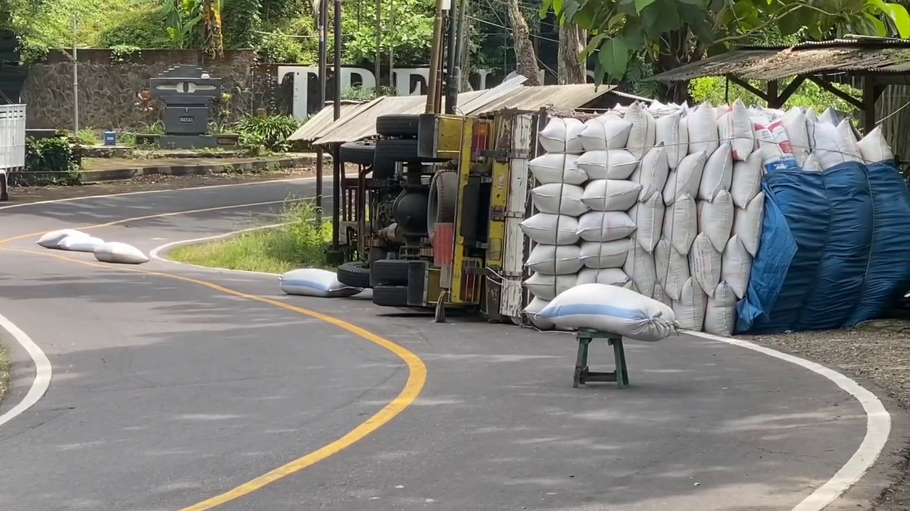 Diduga Over Dimensi, Truk Bermuatan Sekam Terguling Di Jalan Nasional Sawoo