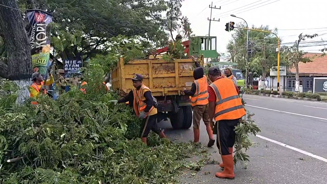 Cegah Pohon Tumbang, DLH Ponorogo Lakukan Pemangkasan di Jalur Provinsi